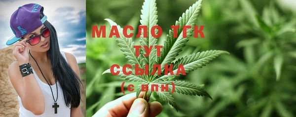шишки Дмитриев