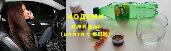 шишки Дмитриев