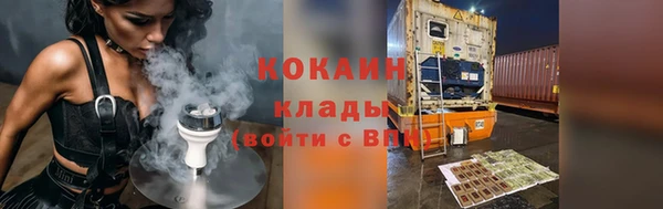 шишки Дмитриев