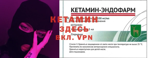шишки Дмитриев