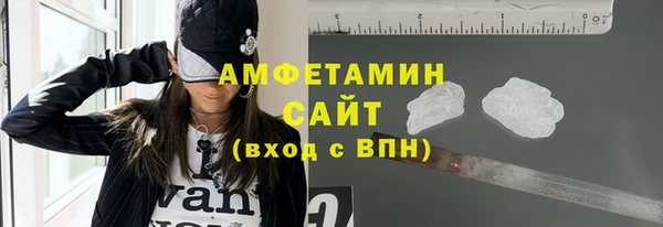 шишки Дмитриев