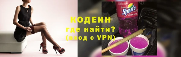 шишки Дмитриев