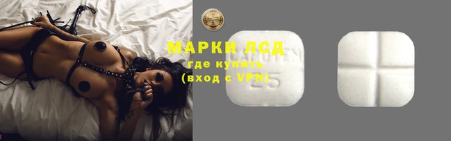 шишки Дмитриев