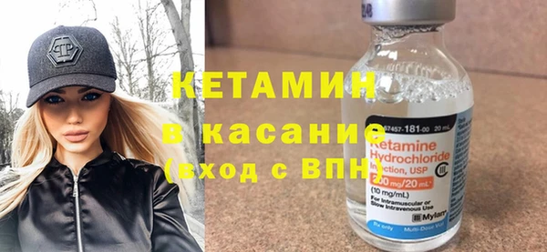 шишки Дмитриев
