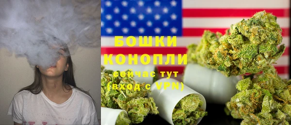 шишки Дмитриев