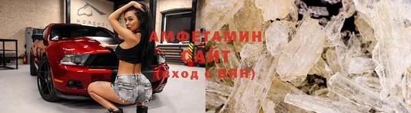 шишки Дмитриев