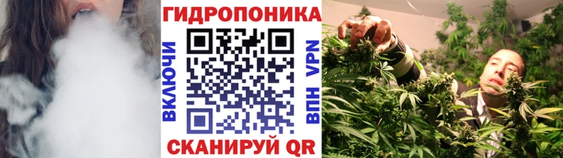 МАРИХУАНА гибрид  Улан-Удэ 